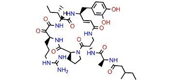 Cyclotheonamide E5